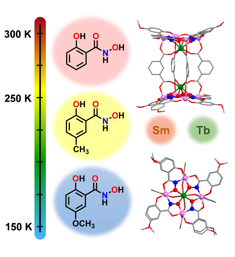 Des lanthanides luminescents pour prendre la température des cellules